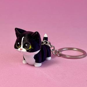 Little cat, flexi cat