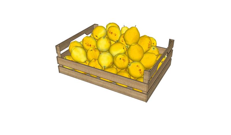 LEMON VEGETABLE STACK Blackberry Tomato Tomato Potato Pepper Bread Pumpkin Zucchini Carrot Lettuce Cabbage Apple Melon Watermelon kactus Pineapple Plantain Banana Grape Ocume Cake Strawberry Hamburger Mango Pear Papaya Mussel Lemon Basket Box Plate Kiwi