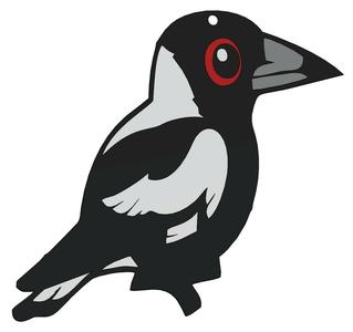 Australian Magpie Earings