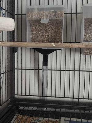Bird feeder seed recovery system