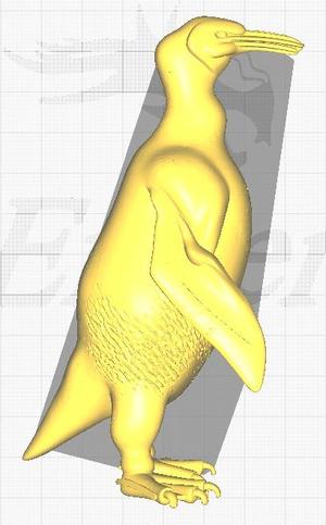 3D model represents the Waimanu