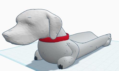 Dalmata Complete Carrier