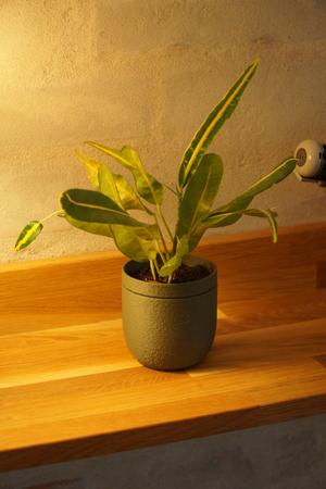 Elegant Self Watering Planter 3 variations 4 sizes