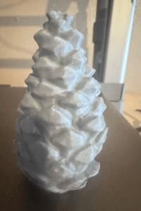 Pine Cone Geocache