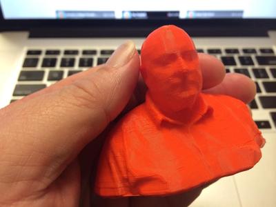 David J. Hinson Bust