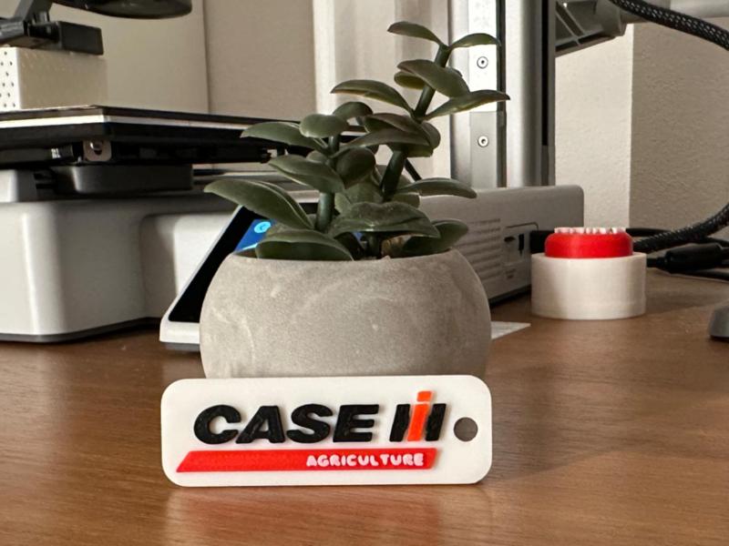 Case IH Keychain