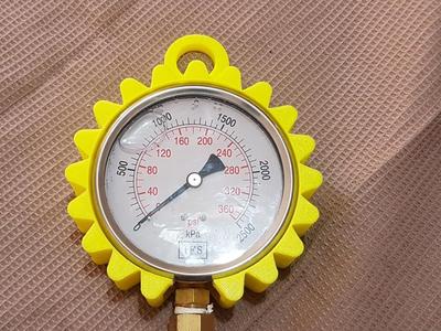 Gauge Protector 4" 100mm