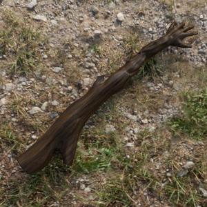 Back scratcher branch