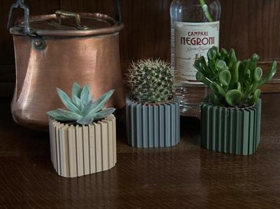 Succulent planter