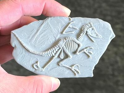 Dinosaurus fossil on the rock