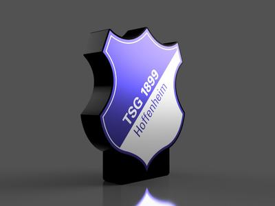 TSG Hoffenheim Lightbox
