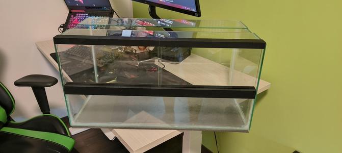 Paludarium 60x30x30