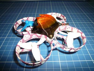 Beta75s Canopy Achilles Mod