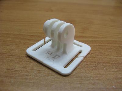 GoPro mount