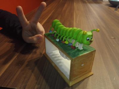 Nemoriko´s : Little motley Caterpillar