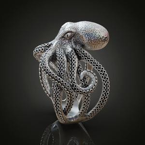 Octopus teentacle engagment ring