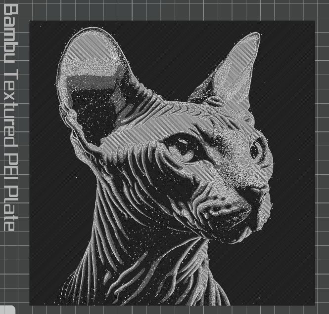 Sphynx Cat