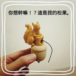 Squirrel chestnuts Gyro