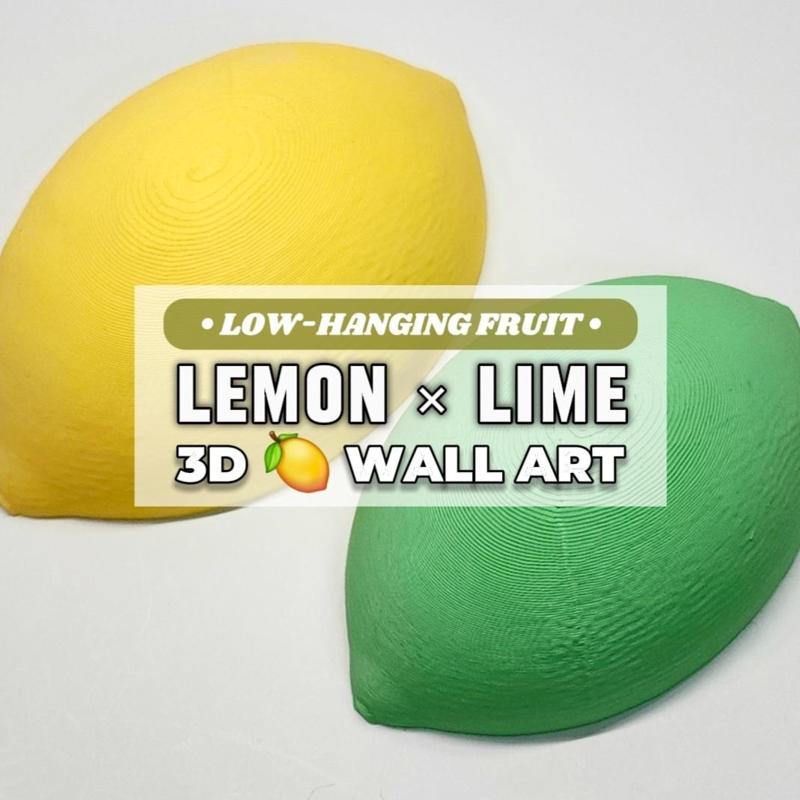 Sliced Lemon + Lime :: Decorative Pop-Out 3D Wall Art Set [ The 'Low-Hanging Fruit' Collection ]
