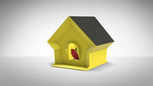 Bird House