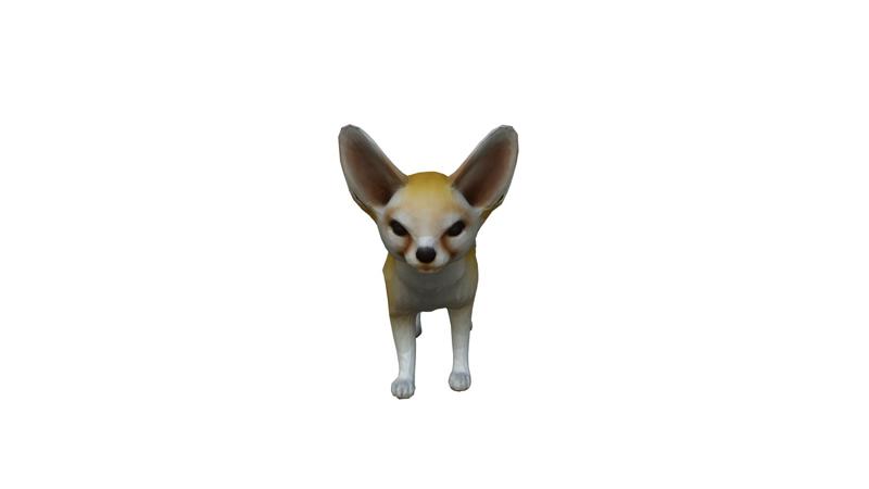 Fennec fox