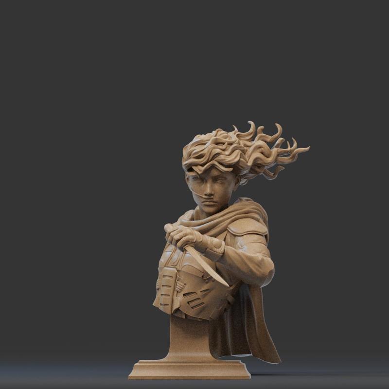 Chani - Dune  - Bust 3D Print