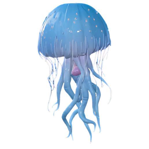 Jellyfish