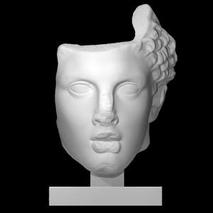 Colossal Head of Hercules