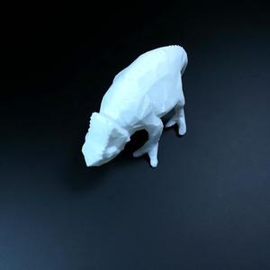 Chameleon (Low Poly)