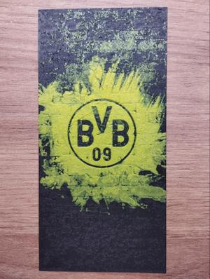 BVB Hueforge