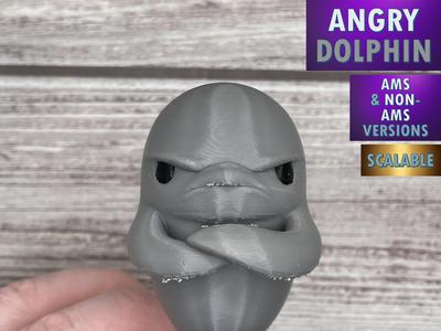 Angry Dolphin