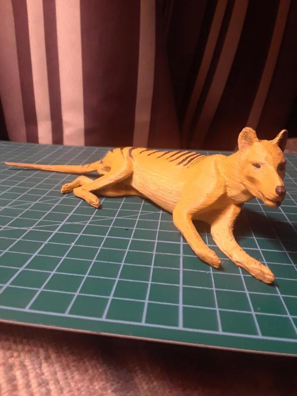 Tasmanian Tiger - Thylacine