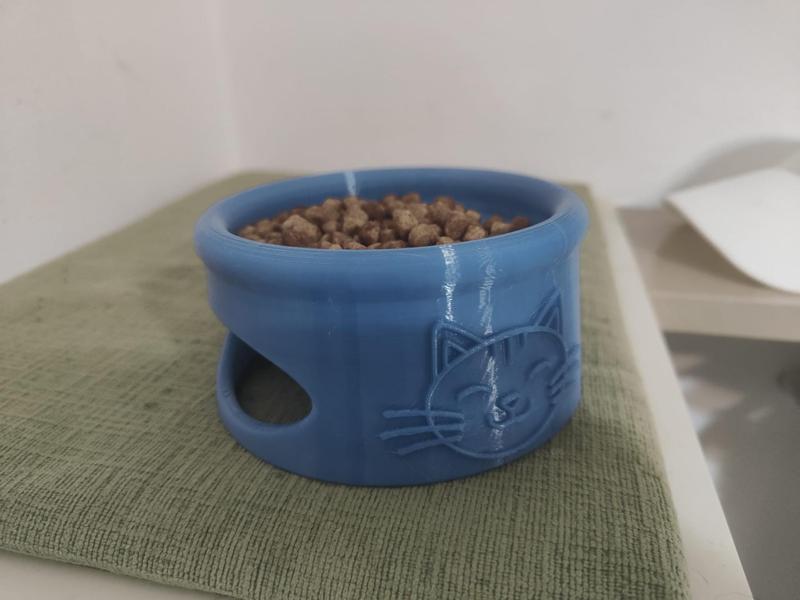 Cat Bowl