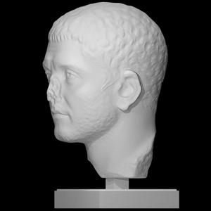 Unknown bust
