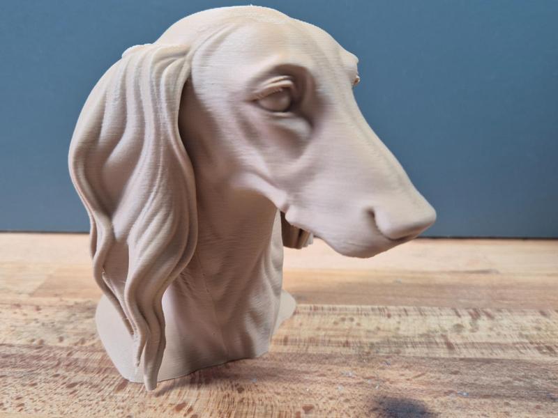 Saluki Bust