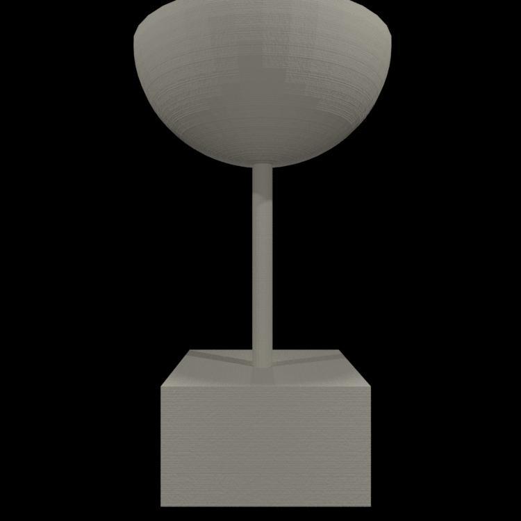 trophy