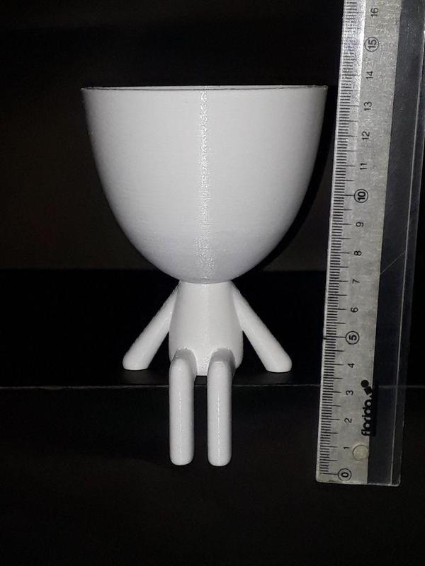 ROBERT PLANT SITTING STRAIGHT GLASS GIVES DISCORDIA POT FLOWER