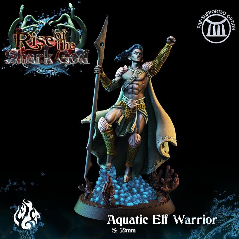 Aquatic Elf Warrior