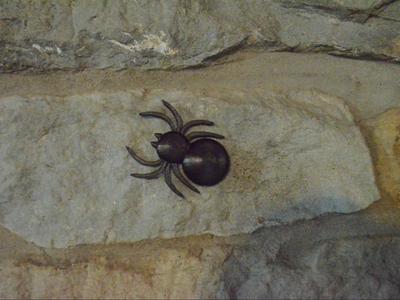 Prank Spider
