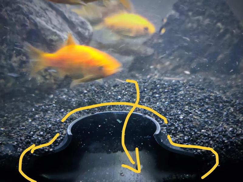 Single-entry small fish underground shelter