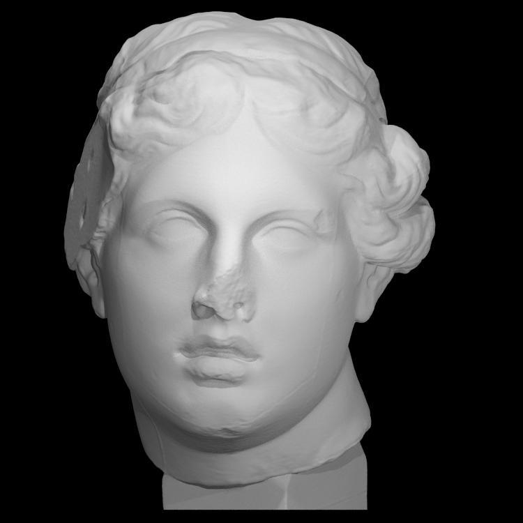 Portrait, 'The Beautiful Head'