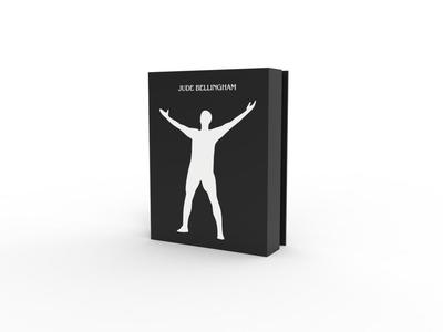 BELLINGHAM LUMINÁRIA - LED LAMP