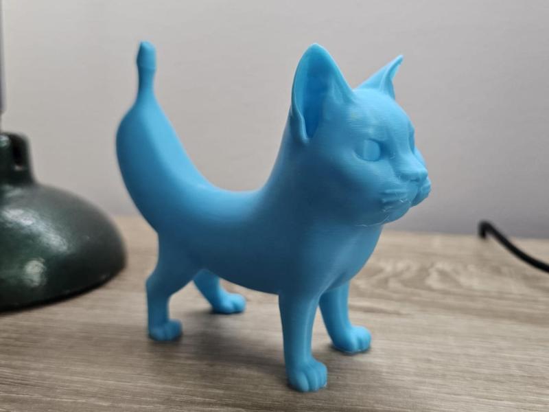 Banacat - Banana Cat