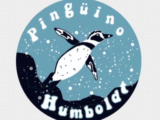 Humboldt Penguin