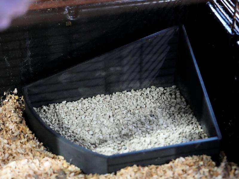 sand bathtub for rodents