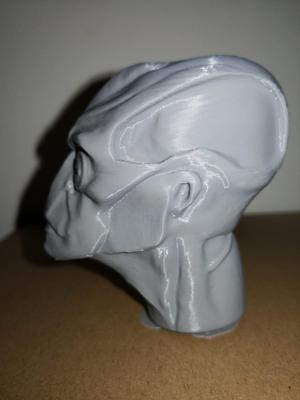 Alien head