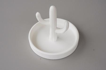 Cactus jewelry tray