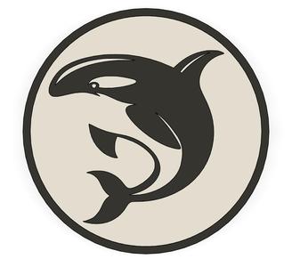 Orca coaster