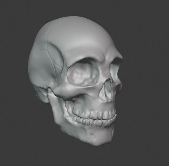 Skull 