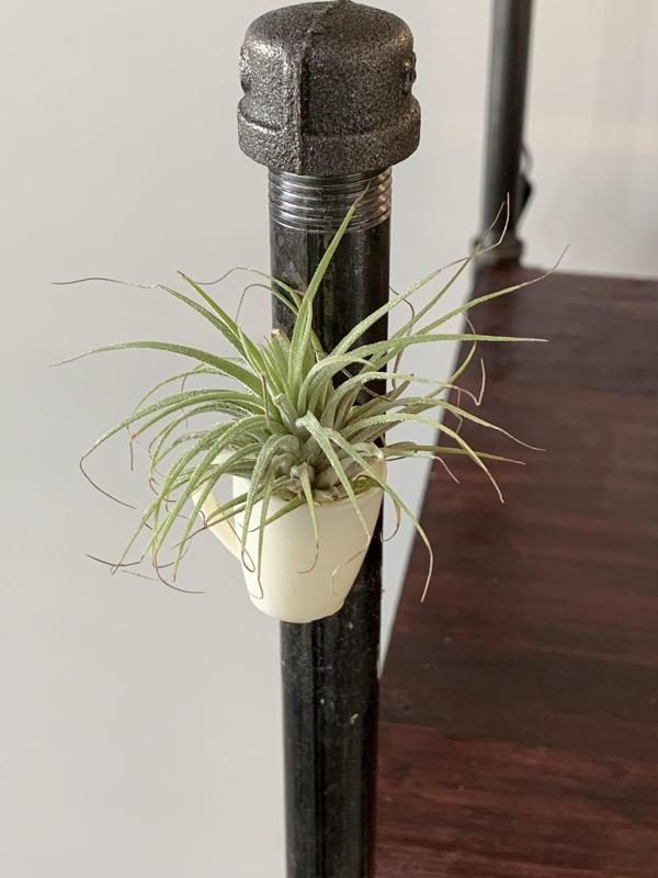 Coffee Mug Magnet / Air-plant Holder